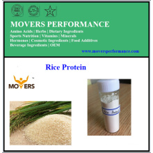 Hot Sale! High Purity Rice Protein